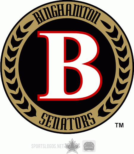 Binghamton Senators 2009 10-Pres Alternate Logo iron on transfers for clothing